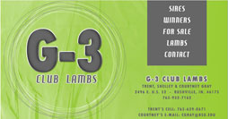 G3 Club Lambs
